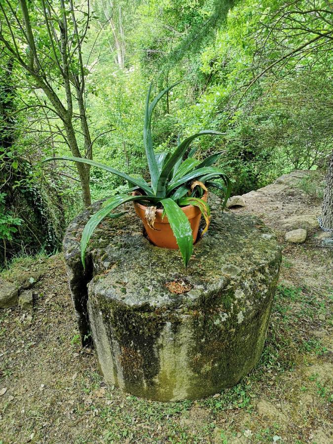 Casa Rural Ardetxal A 16Km De Logrono Y Laguardia Vinaspre Zewnętrze zdjęcie